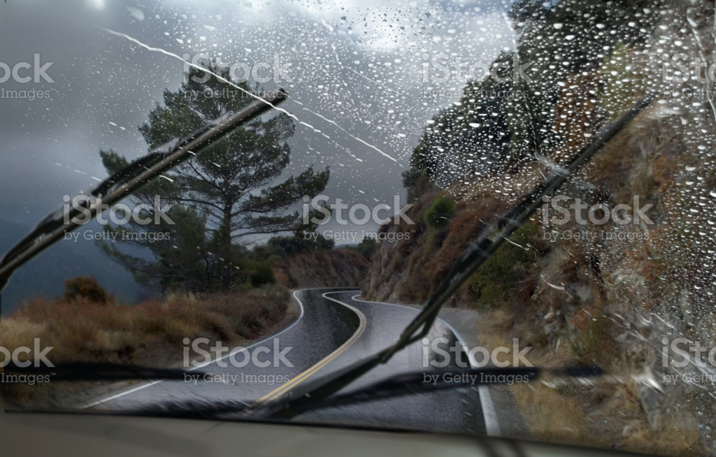 Wiper & Washer System - Products - Wells Vehicle Electronics